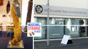 Museums In Strange Places: The Penis Museum 